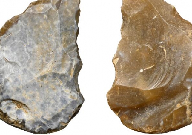 Narzędzie w typie noża