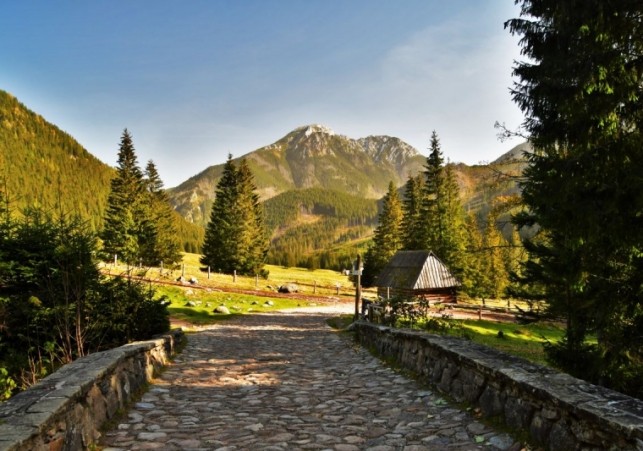 toaleta na szlaku