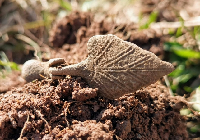 skarb rzymskich monet