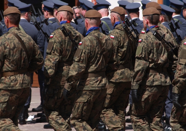 1 Dywizji Piechoty Legionów