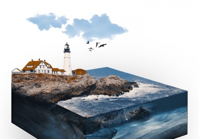 współistnienie form zwierzęcych i roślinnych